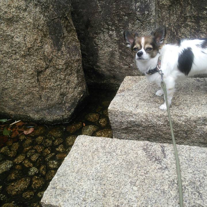 1879ec94 0b93 4fa7 864b 332407b11cc5