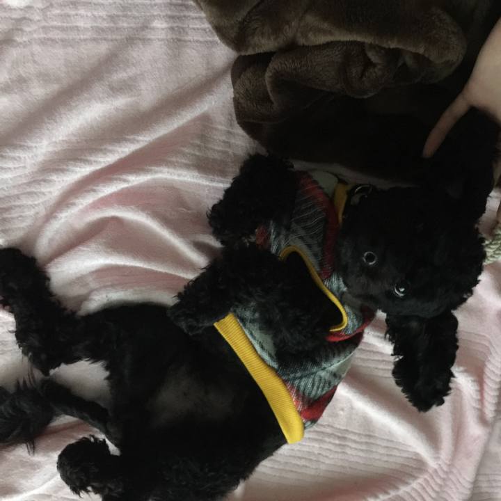 187a8949 dbd2 4b2e a613 f8cd6c6a2ac8