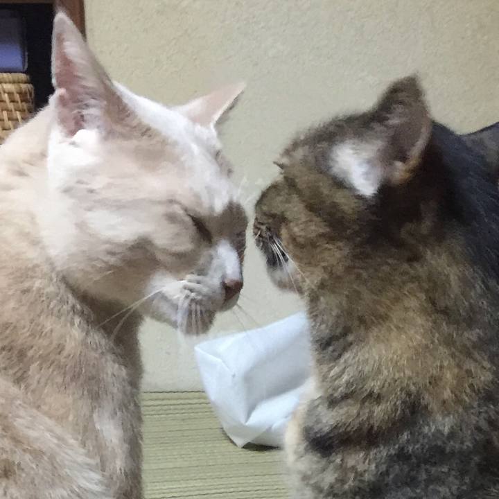 187a93e4 79af 489c b1a1 fcec2d76e18a