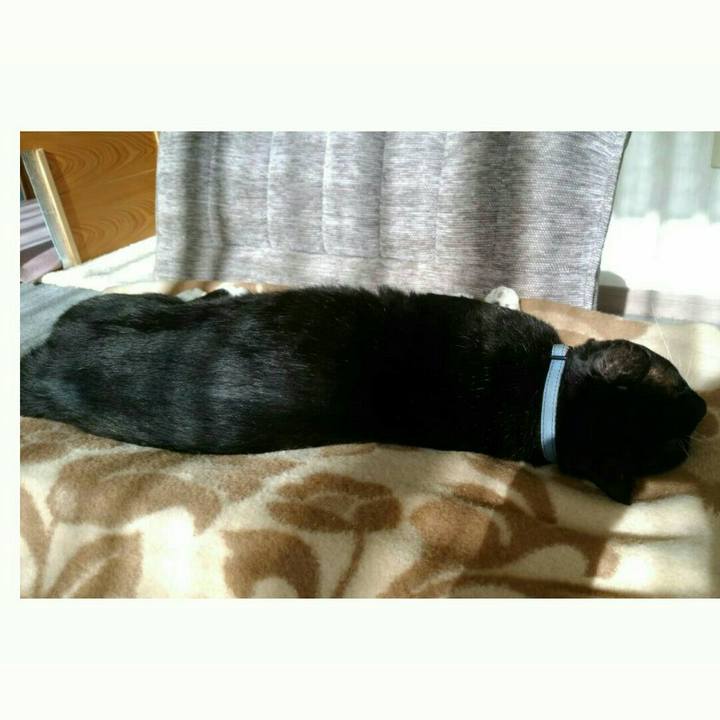 187ab846 70a5 4c8c be45 4702090cec98