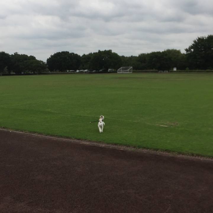 187b1514 9f15 433a a08e 77ff3a17f178