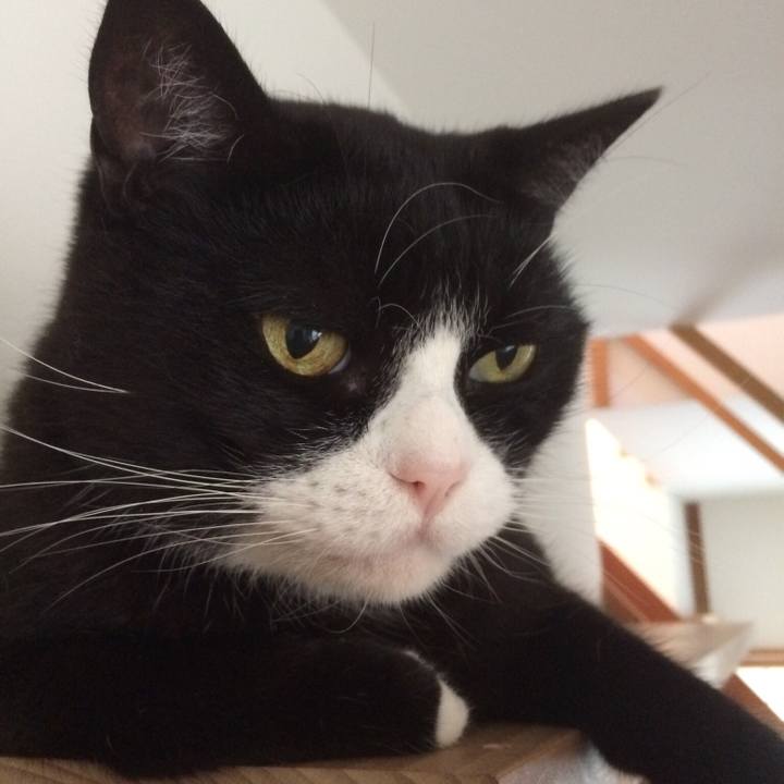 187b7dbb 9c3e 4a85 937b 2f86b6cc4669