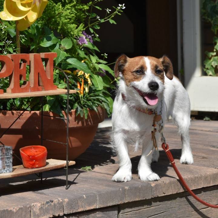 187bae10 f6cd 4828 9458 2c5530a29d17