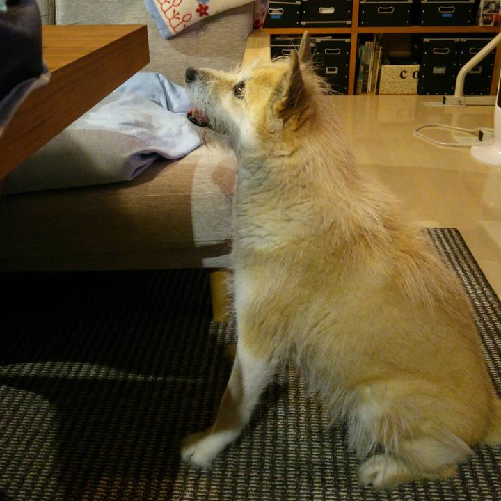 187be8a4 60d1 47cc b093 3e742f392342