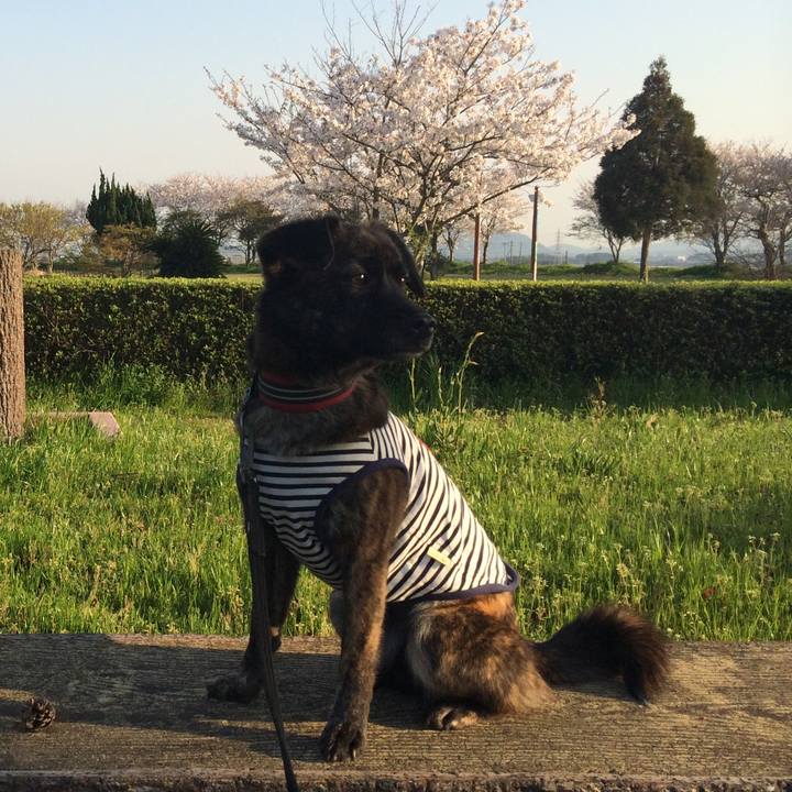 187bf536 0014 4860 8d66 476905c2b011