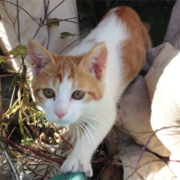 187c3fe2 ec88 4f34 84b8 30557628b2bd