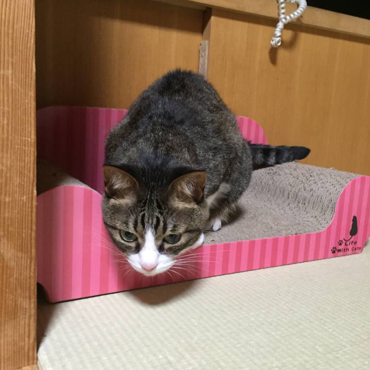 187c87b9 54b4 4f78 a68a 88b35bcbfe46