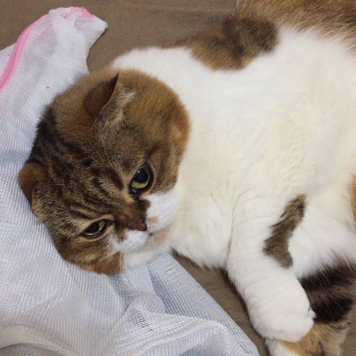 187cebfb 7529 40df b8f8 7b50761fe45f