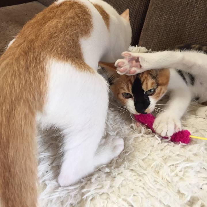 187d6db3 b993 4a79 acc5 25f08a3adb63