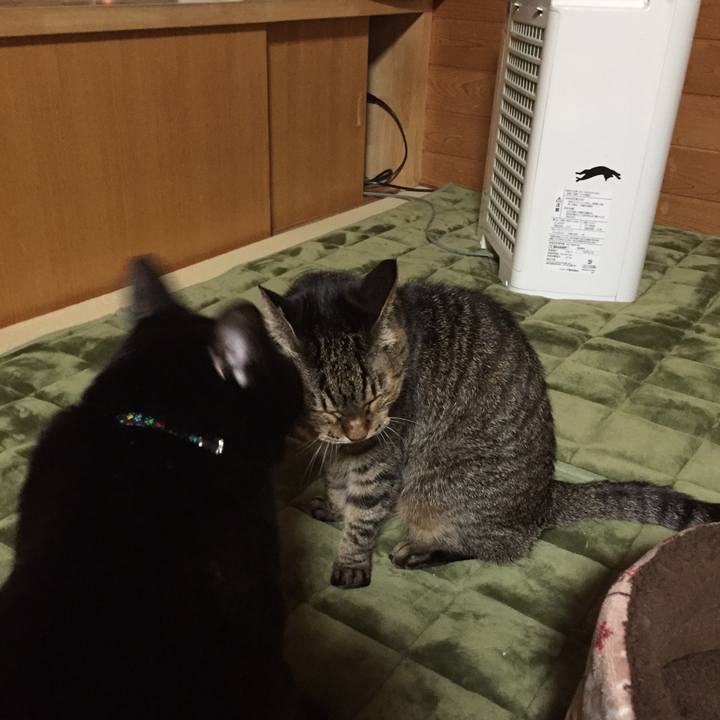 187de66a 7322 42bf 970c 4dd253f18aae