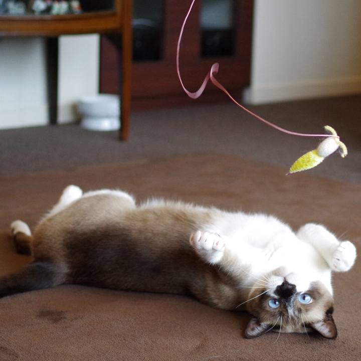 187e51bb efa4 4fc5 8ed1 4b23f72facaf