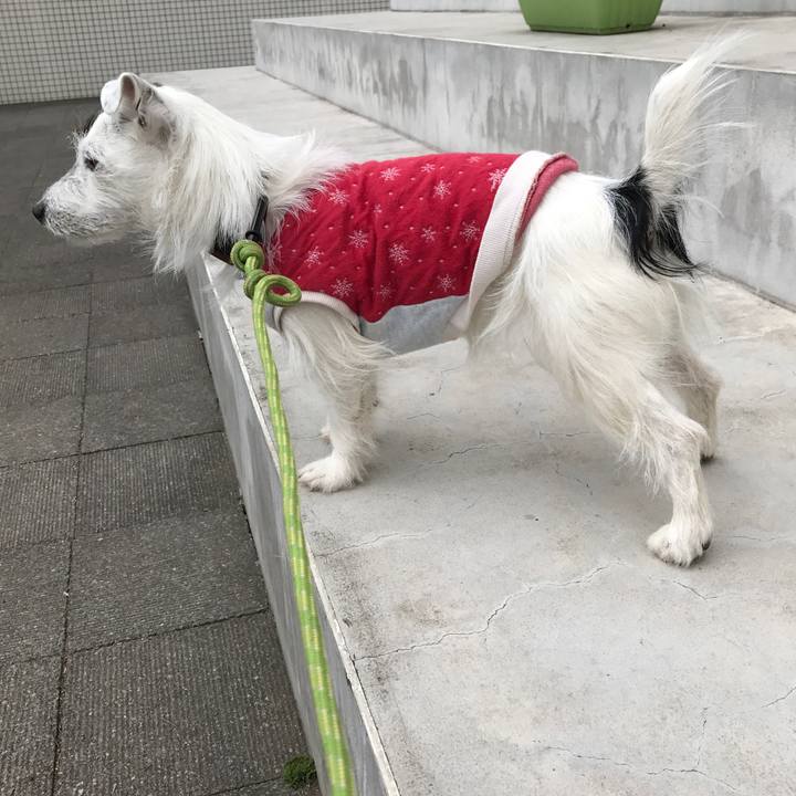 187ea3f2 8aff 4794 8ccd e43fc935aa09