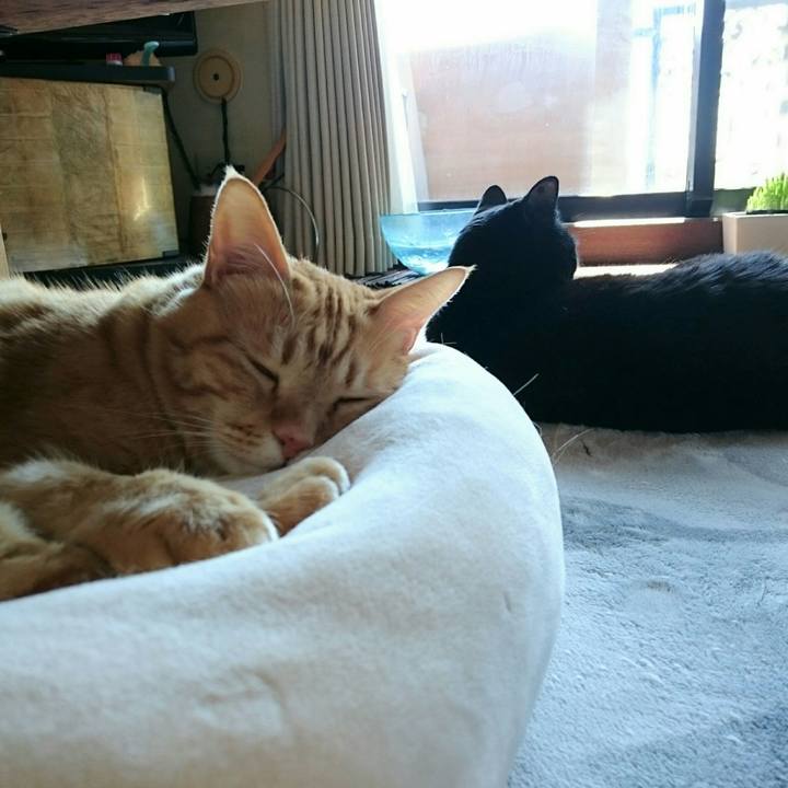 187ec609 1106 49a4 8e44 db0af0e9dd4e