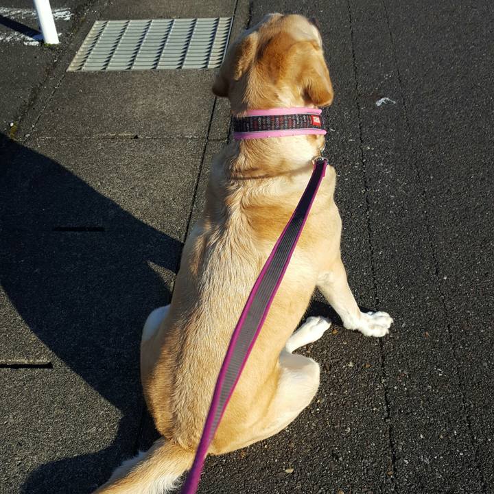 187ee823 4609 43e1 bad5 44010bb2abc0