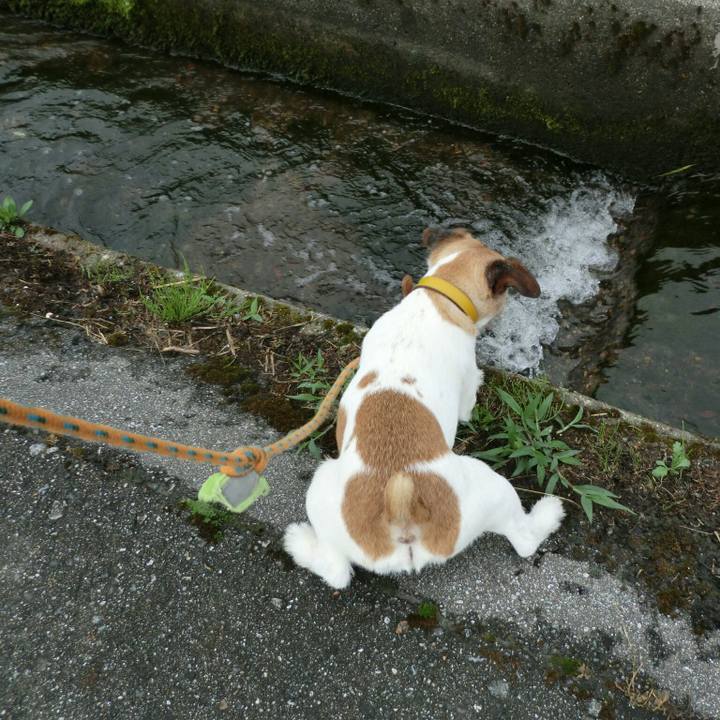 187f44b8 61b2 46ed be4e 88035643558f