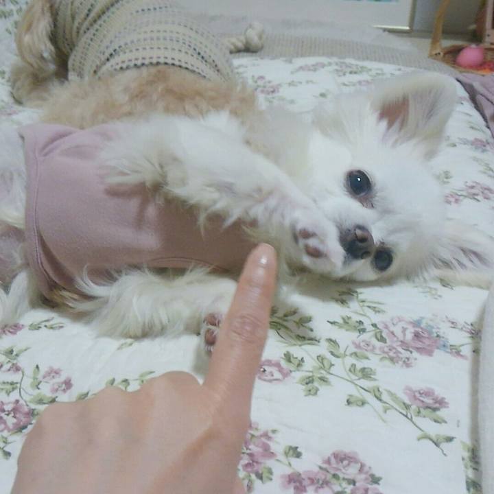 187f8c82 1a0d 4c40 bbca cf931c8afe30