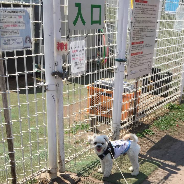 187fafdc 2599 4fbd b960 ce4b2f660d04