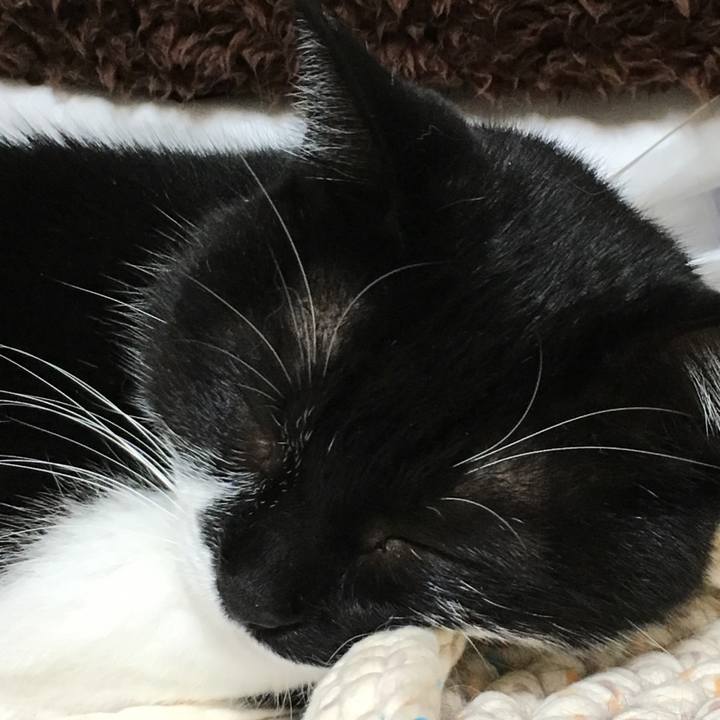 187fc240 2c50 4b12 8f72 989ef43c204b