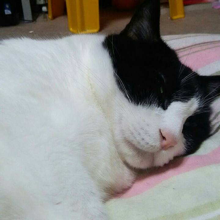 187fef37 e089 49ca a4b1 9e911bd01f0f