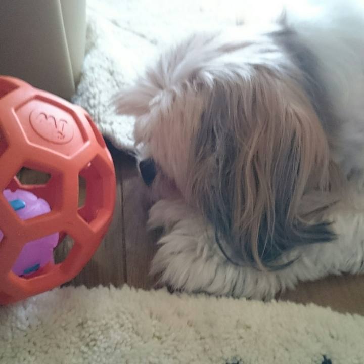 18802b54 0b87 4ea1 940c 3b17cca3e8f7