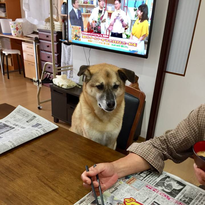 18804bbd 963f 4c0b aec3 9ca7fd0080db