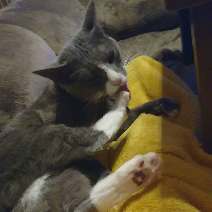 18816f4b f6d7 4c72 9e8f 6fe972e271ad