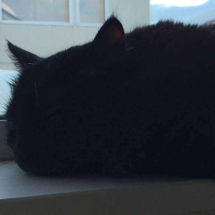 1881d2a0 6dff 4750 ad01 27029337f13f