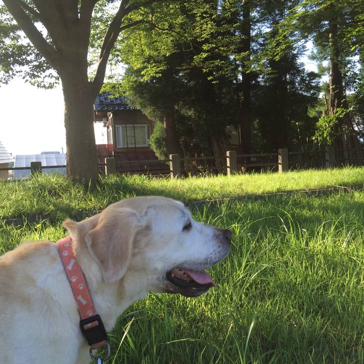 1881d4e2 0dee 43b5 95b7 b1dda02a170e