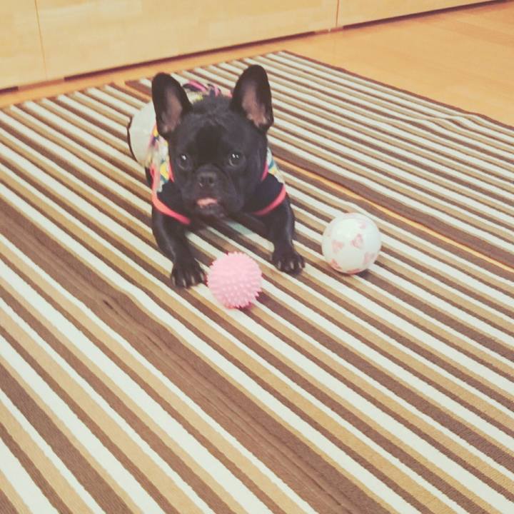 1881f461 d64e 4cd8 9e22 f53902328eb5