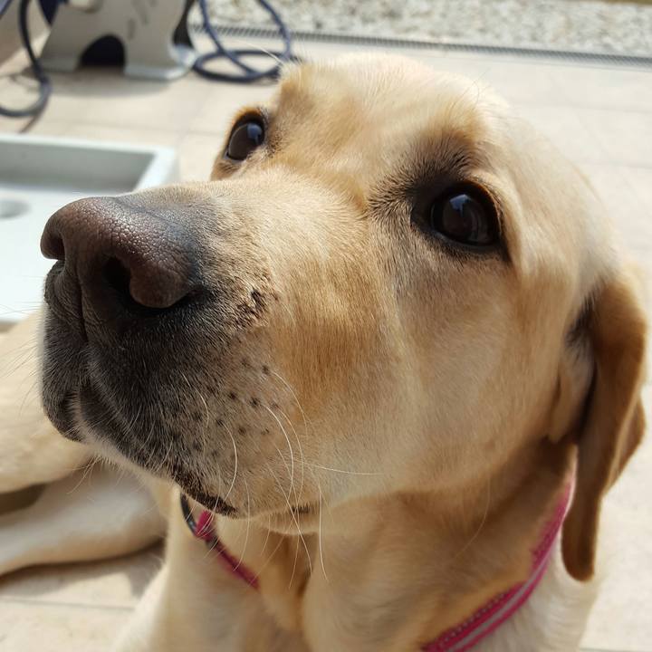 1881f500 5b26 475f 9deb 3f9f09aeb830