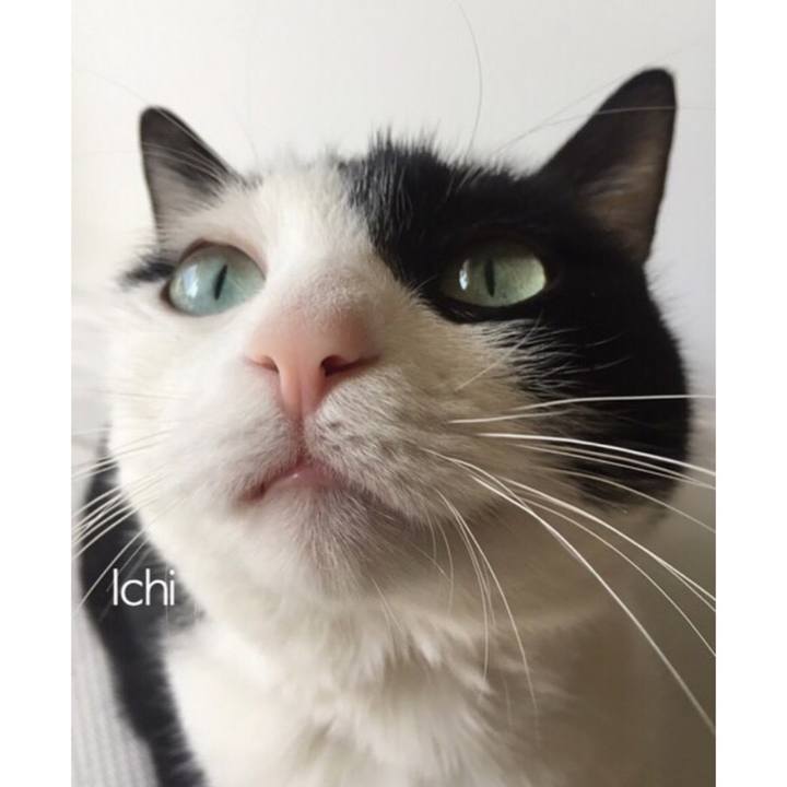 188279d0 7153 44a1 917d 8eba2abc186d