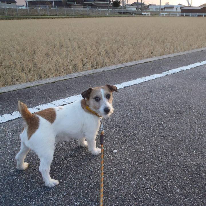 1882c0b7 8aa1 4a59 8ed8 5cac5b41f17a