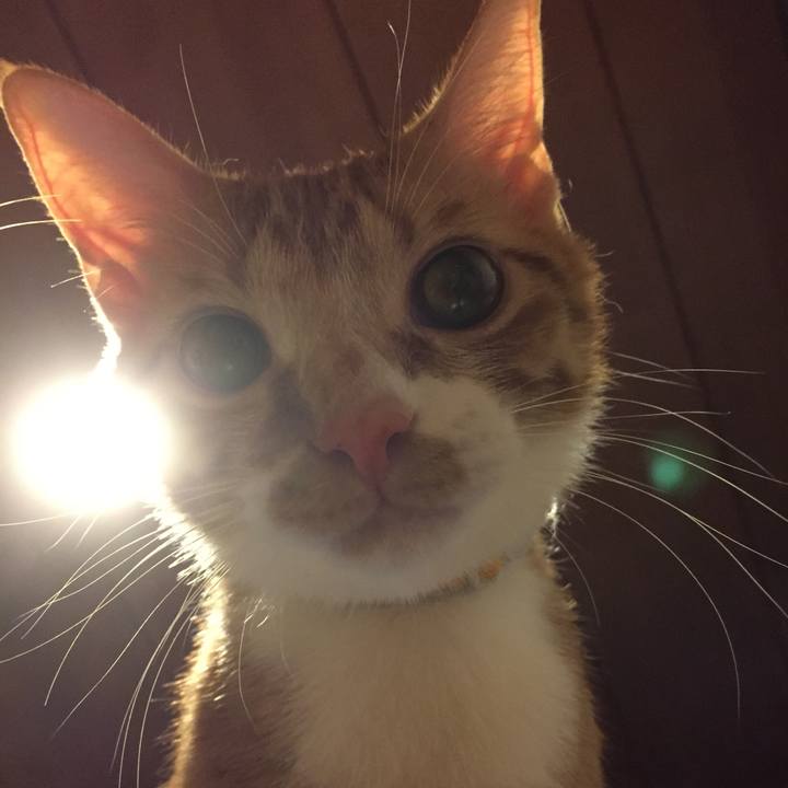 1883d2bf bb6c 4e3c 994e ffaf1b798a1f