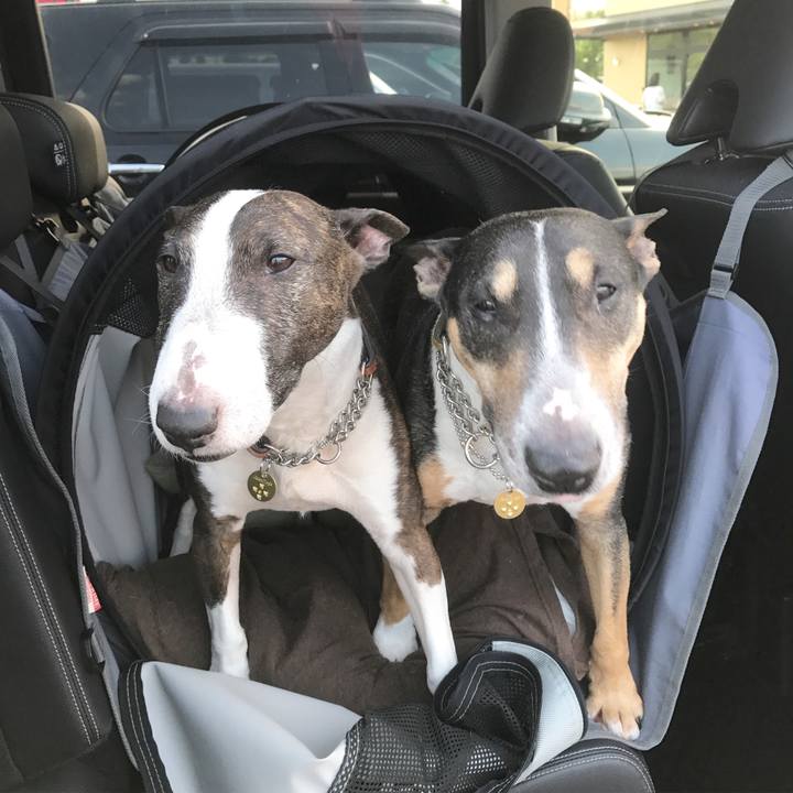 1883e922 2bb0 4c0a b3a6 67e06637dfd2