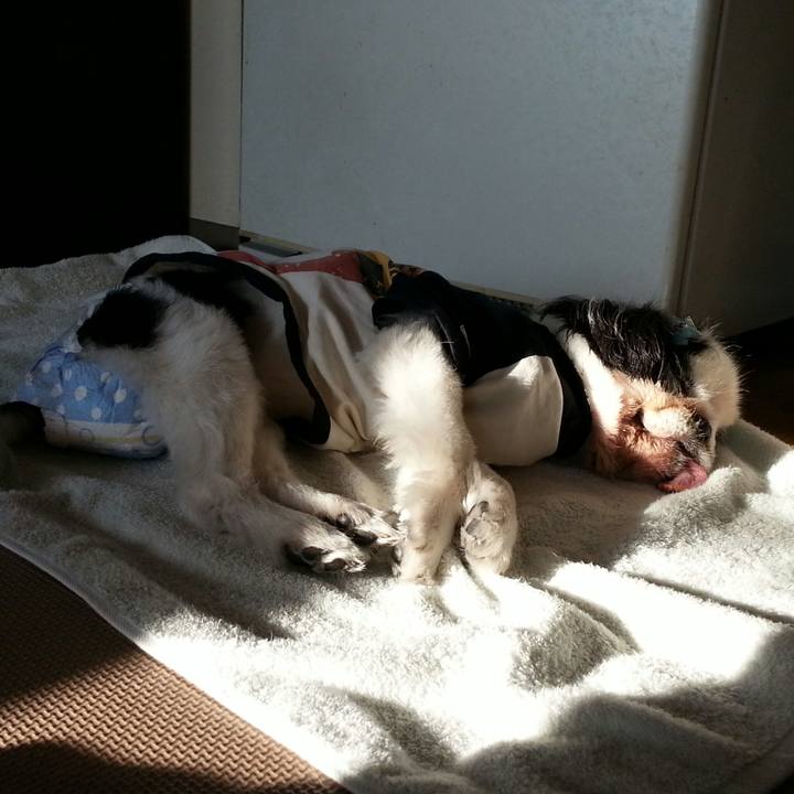 188421aa fa28 4278 b674 b9ce7480b564