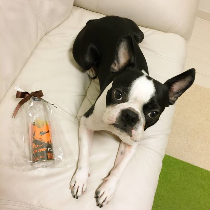 18844cb0 bbe1 4920 a96e 8adb6854dc9f