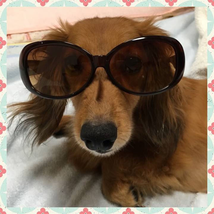 1884dc80 16b5 4405 b266 e60b40af3f5e