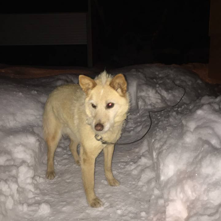 18850741 6d37 455c bb4c 142553e60cf6