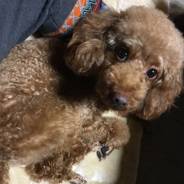 18851b01 c8c7 4cc9 babd c65c6f8a0c2f