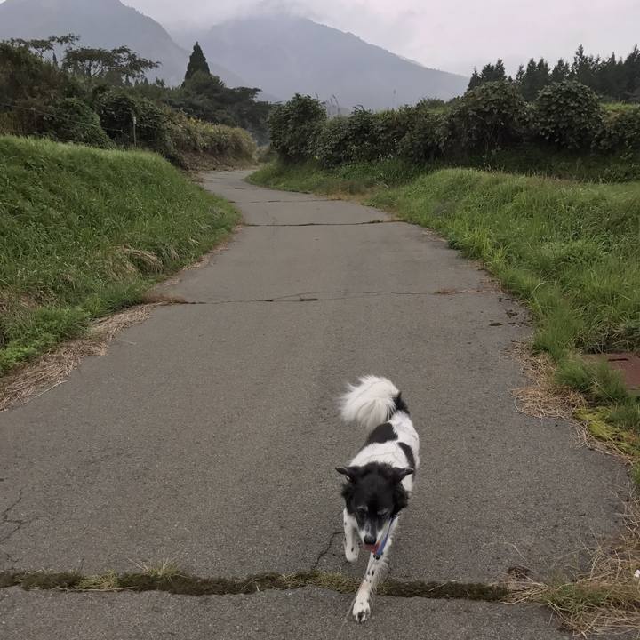 188610d6 5dd5 492f 895d d4807bb9da62