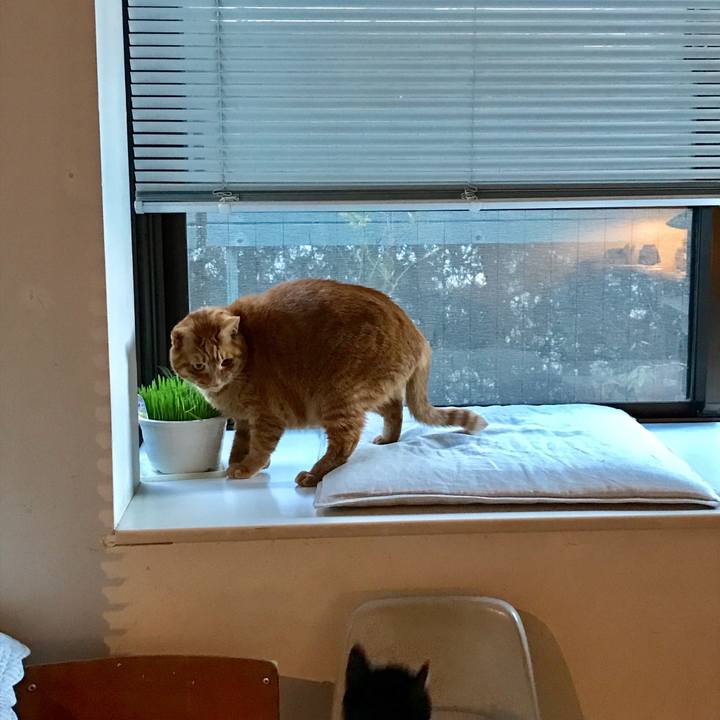 188689bd e473 417d a88e bcfa1698ccd0