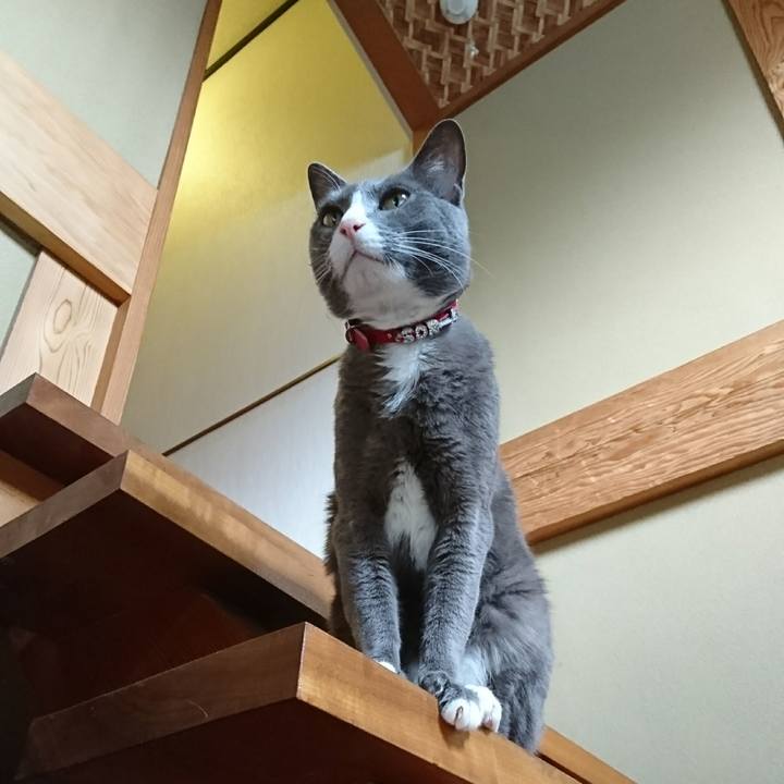 1886c1ea cd15 41fa 84e2 75d06ac9ba54