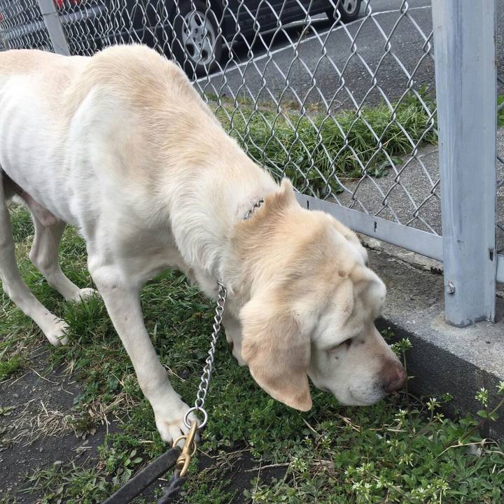 1886c7b7 c18b 4d8e bbf4 6d05c1223428