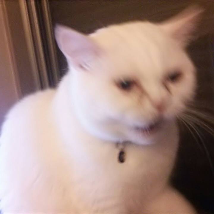 1886e228 6476 476d abd3 1c9a5eb2294d