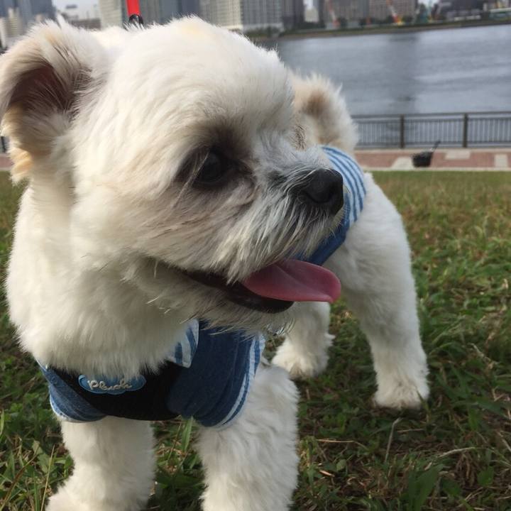 1886ed31 8212 4ffe b1f5 a3cf5e649e64