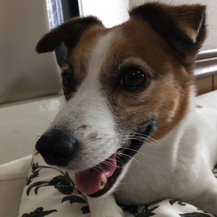 1886fb06 04b5 4537 9ebc 34ecfa11fee4