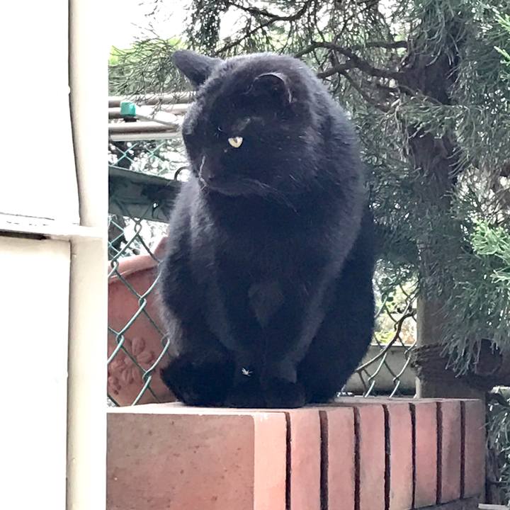 18883bc9 17ba 45cd 8e00 6b497bbc0406