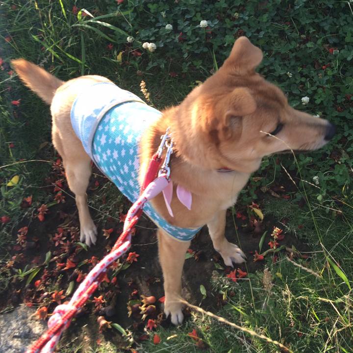 1888a847 8462 4efd 94e7 f3a4f6a61748