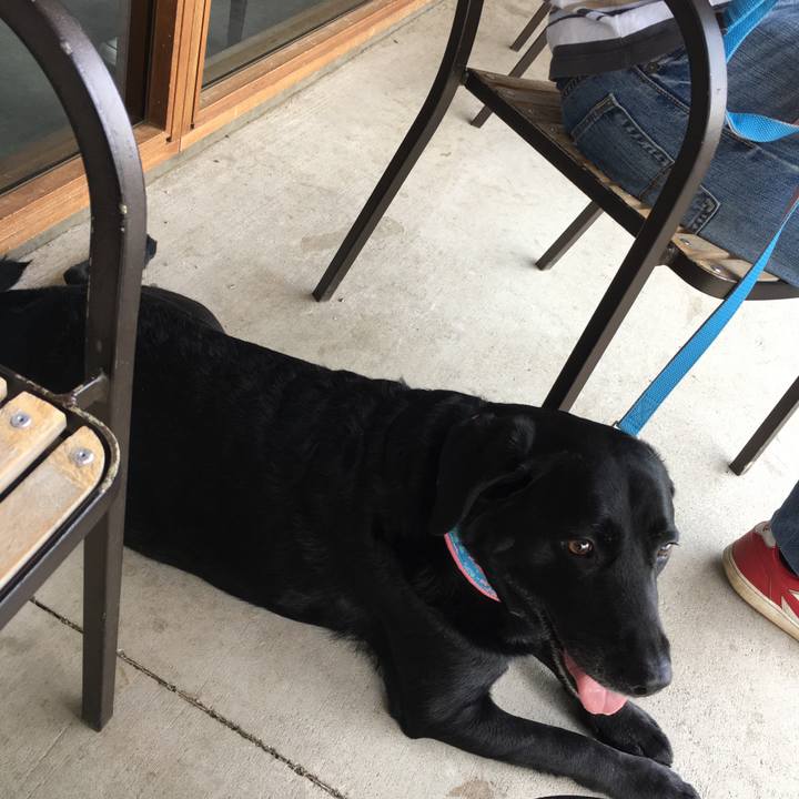 18890565 643a 4caa 9fb8 f962573c5077