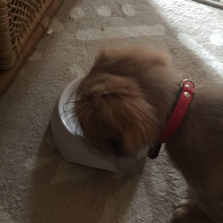 18892302 2d9a 4be1 be66 4f61b06ce19f